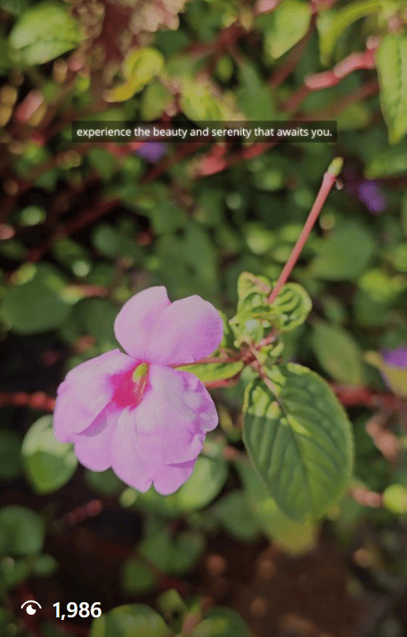 Korome Hills Resort social video