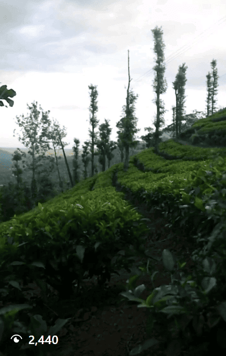 Korome Hills Resort reel example